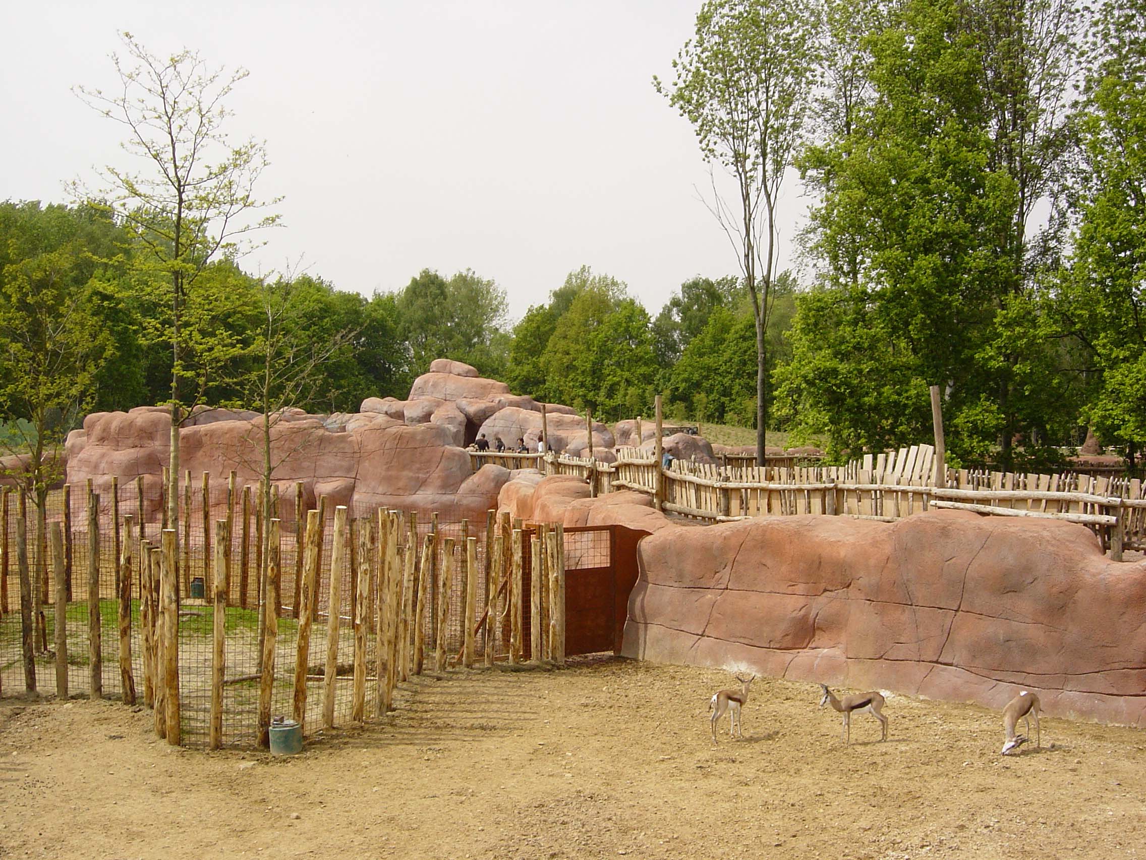 Complete dierentuin