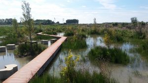 Parkbos de Haar - Cortenstalen vlonder