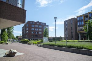 2017-07 Archipel Zuiderpark Gachelbosch, Eindhoven WEB (15)