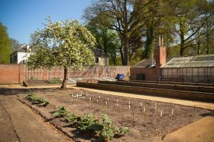 Mattemburgh moestuin, Bergen op Zoom (10)