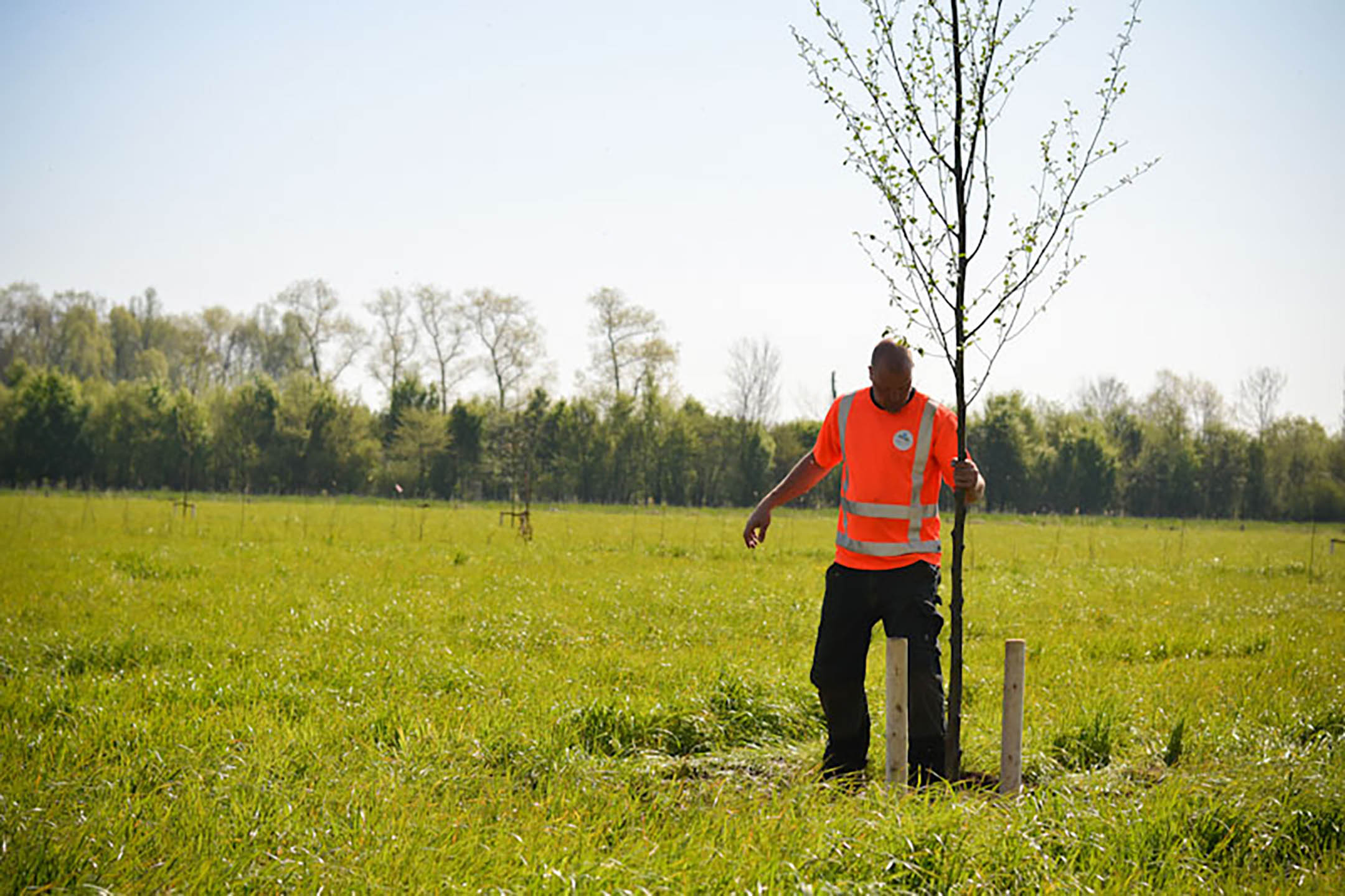 Natuurherstel Hilvarenbeek