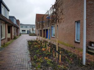 Vogelbuurt Alphen ad Rijn (1)