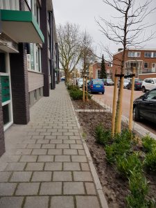 Vogelbuurt Alphen ad Rijn (4)