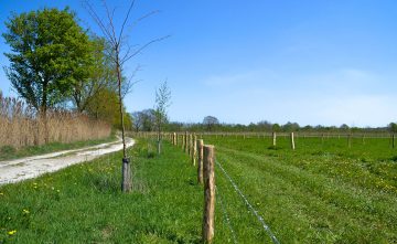 Afronding natuurherstel De Gooren