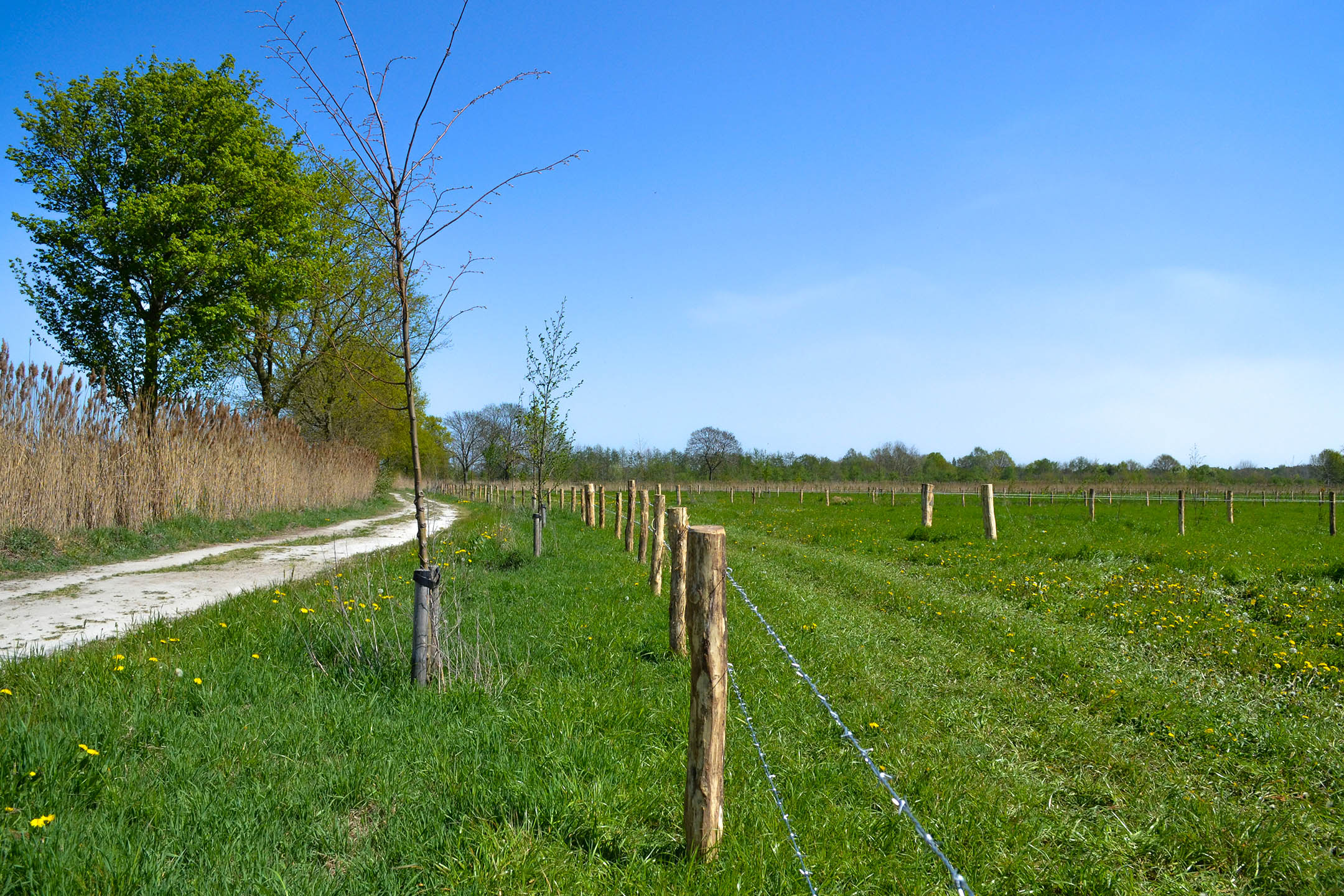 Afronding natuurherstel De Gooren