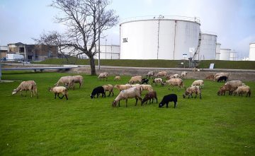 De lente begint: 250 ‘seizoenmedewerkers’ weer in het veld