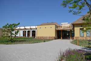202206_Gustaaf_Beekse Bergen Hilvarenbeek (3)
