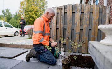 Zayaz en T&G maken Bossche buurt nog groener samen met bewoners