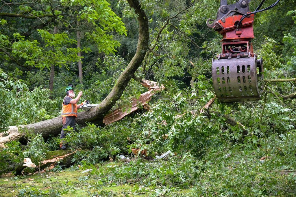 3_TenG_Kappen omgevallen boom Vught