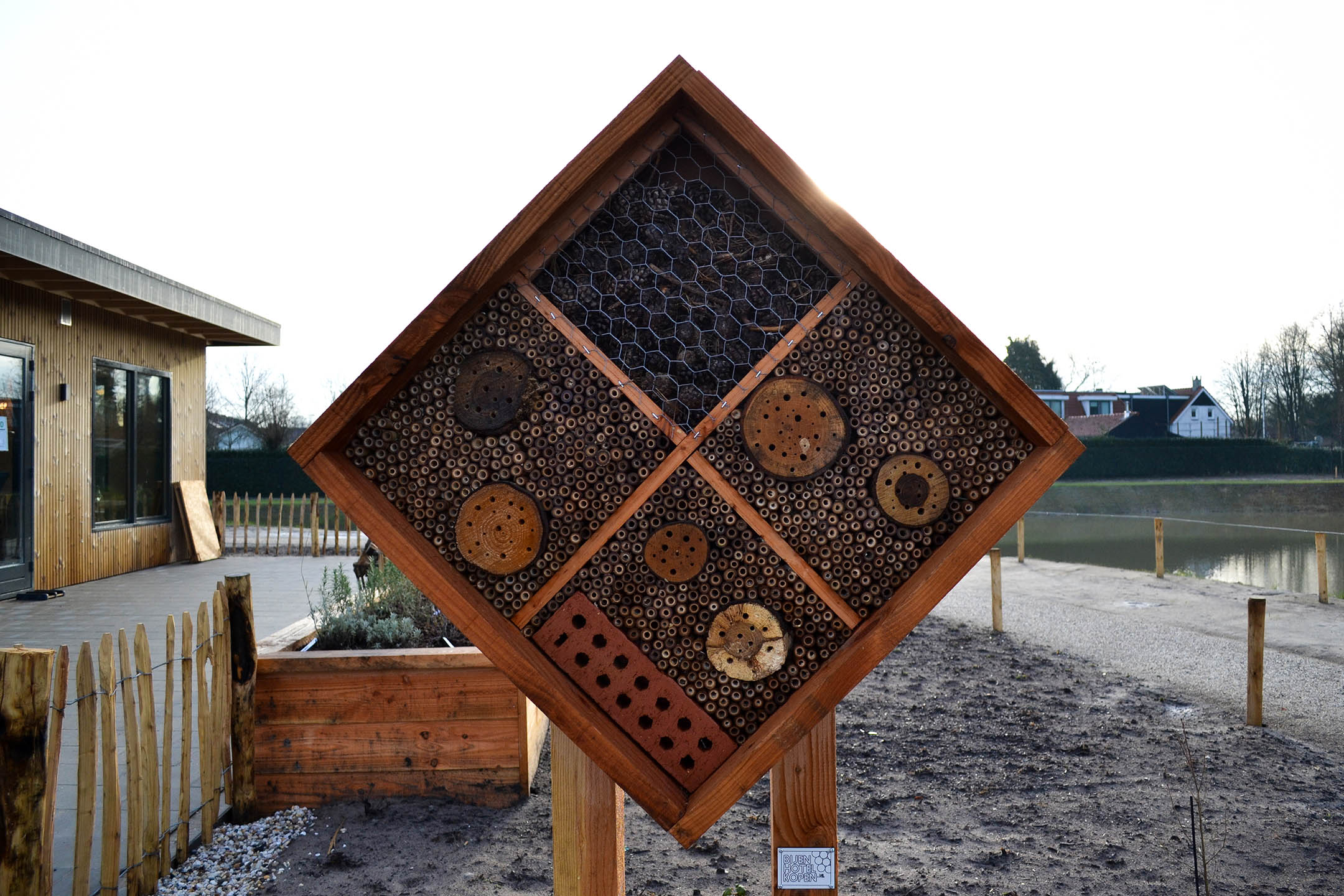Biodiversiteit