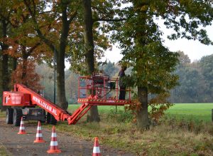 Bomen snoeien