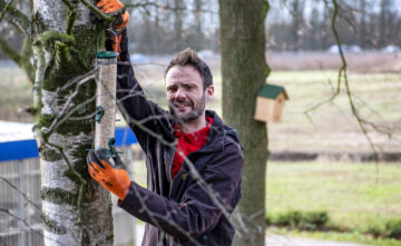 De kracht van de koolmees