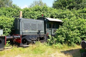 Japanse Duizendknoop overwoekert trein