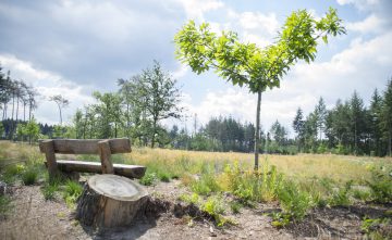 Natuurbegraafplaats Schoorsveld