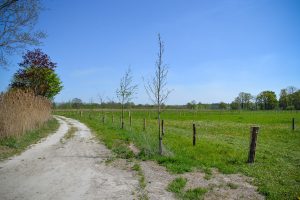 Natuur-Netwerken-T&G-Groep