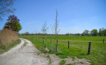 Natuur Netwerken