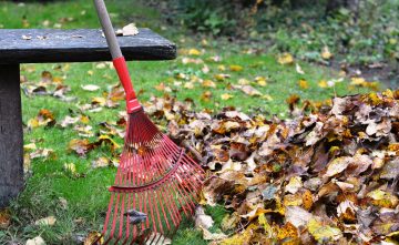 Herfstbladeren? Laat ze lekker liggen!