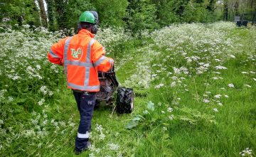 Groeizaam weer zorgt voor ‘groene dillema’s’