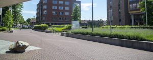 Terreinbeheer-Archipel-Zuiderpark-Gachelbosch-Eindhoven-T&G-Groep