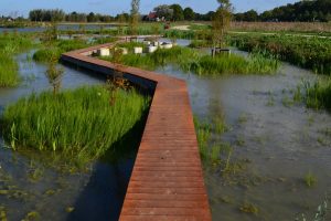 Cortenstalen steiger Parkbos de Haar