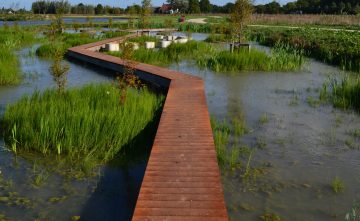 Parkbos de Haar