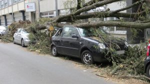 Zomerstorm